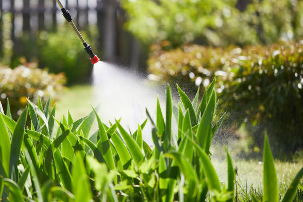 24/7 Emergency Mosquito Control experts in Prosper, TX