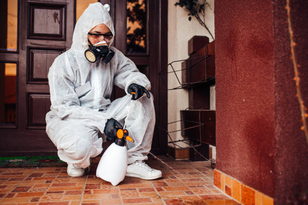 Reliable Mosquito Control contractor in Prosper, TX by Show Me Pest Control